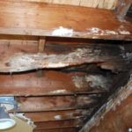 Moisture intrusion