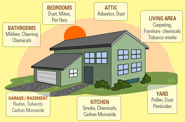 Indoor Air Pollutants