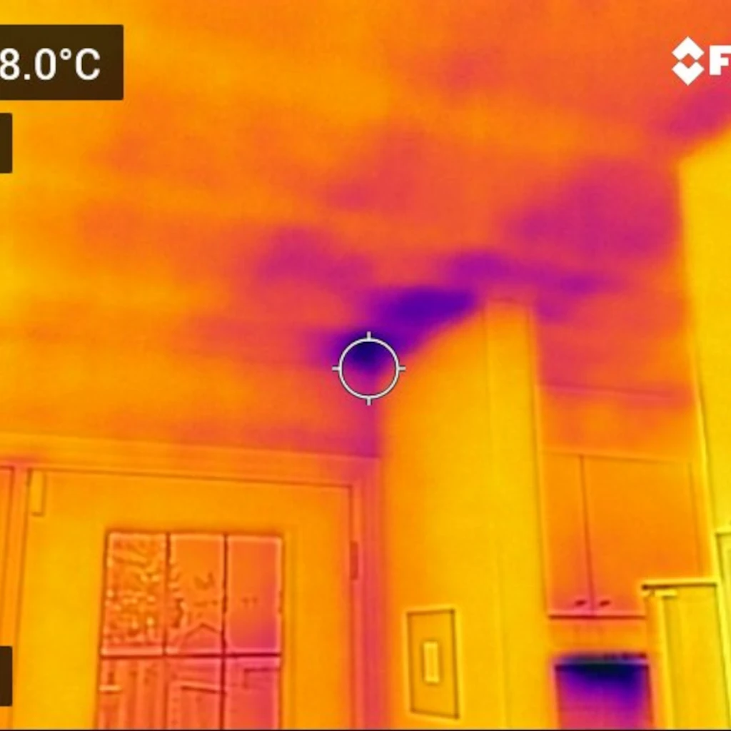 Infrared Image