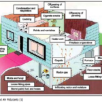 Moisture Intrusion