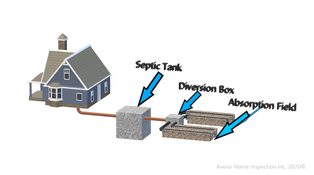 Septic System Layout